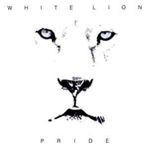white-lion-pride